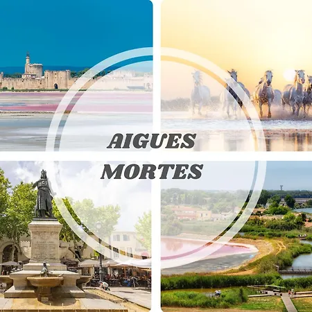 Le White - Clim Parking Wifi 5min Neuf 6max -top Pros Servicesconciergerie La Grande-Motte